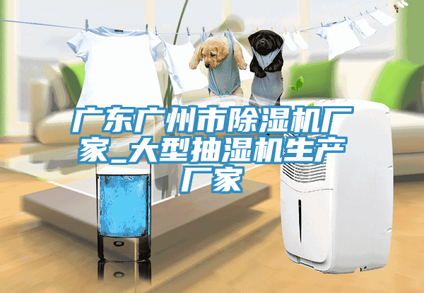 廣東廣州市除濕機廠(chǎng)家_大型抽濕機生產(chǎn)廠(chǎng)家