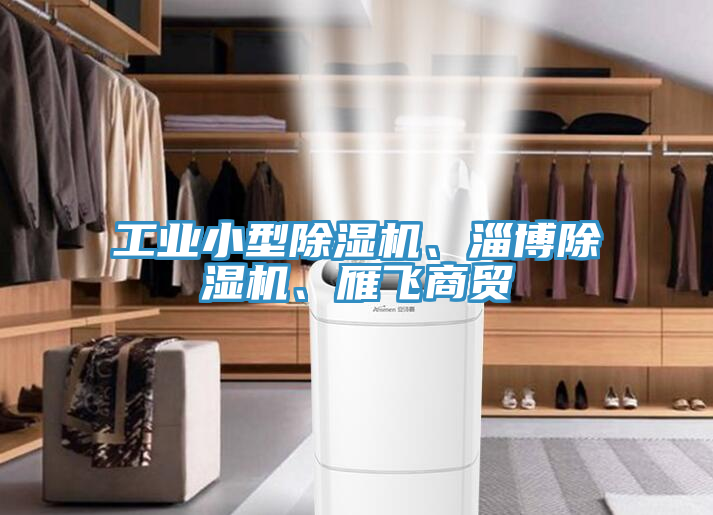 工業(yè)小型除濕機、淄博除濕機、雁飛商貿