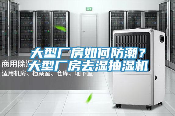 大型廠(chǎng)房如何防潮？大型廠(chǎng)房去濕抽濕機
