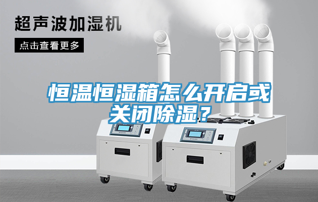 恒溫恒濕箱怎么開(kāi)啟或關(guān)閉除濕？