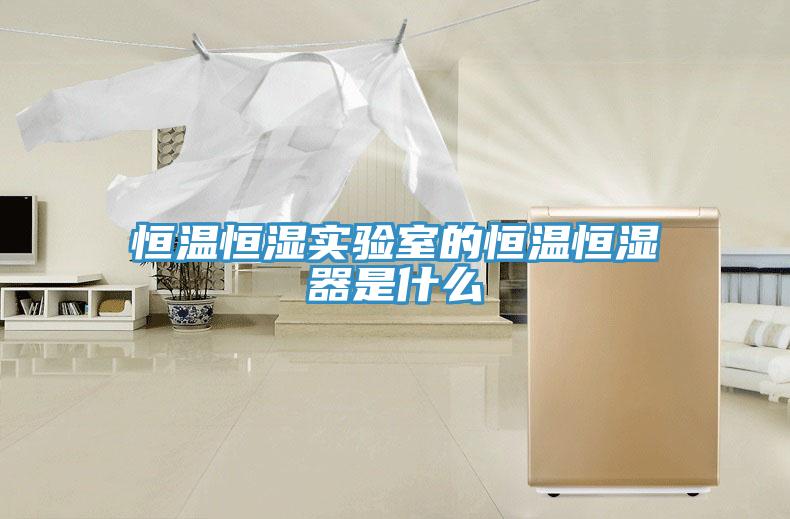 恒溫恒濕實(shí)驗室的恒溫恒濕器是什么