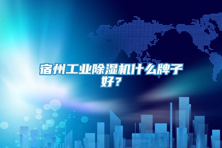 宿州工業(yè)除濕機什么牌子好？