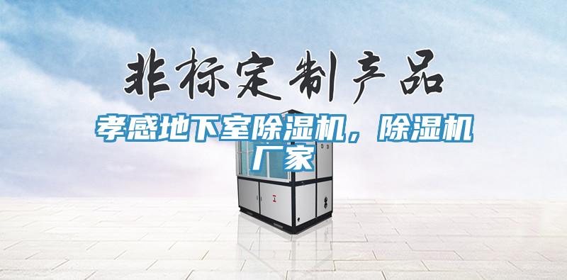 孝感地下室除濕機，除濕機廠(chǎng)家