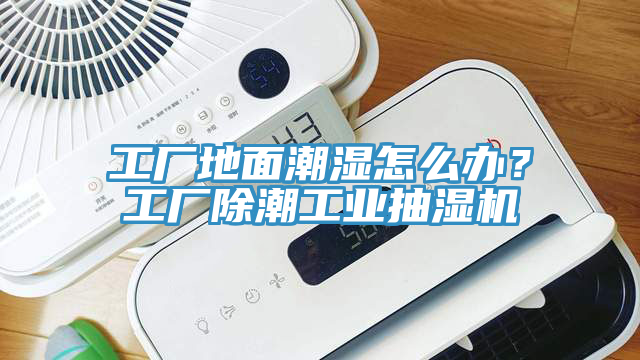 工廠(chǎng)地面潮濕怎么辦？工廠(chǎng)除潮工業(yè)抽濕機