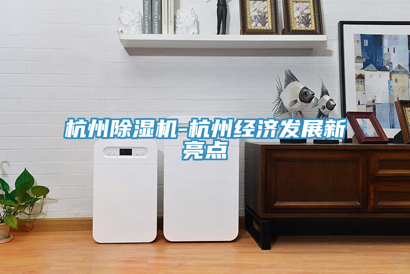 杭州除濕機-杭州經(jīng)濟發(fā)展新亮點(diǎn)