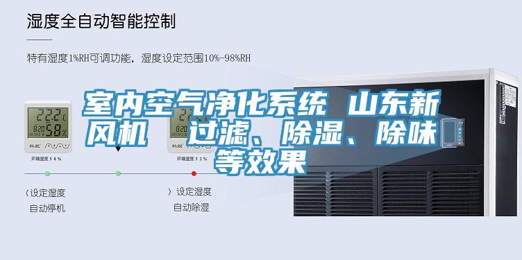 室內空氣凈化系統 山東新風(fēng)機  過(guò)濾、除濕、除味等效果