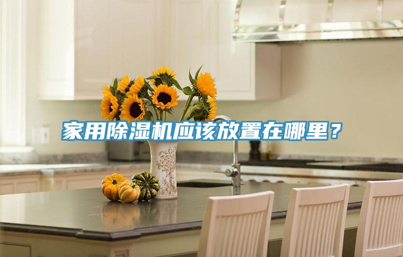 家用除濕機應該放置在哪里？