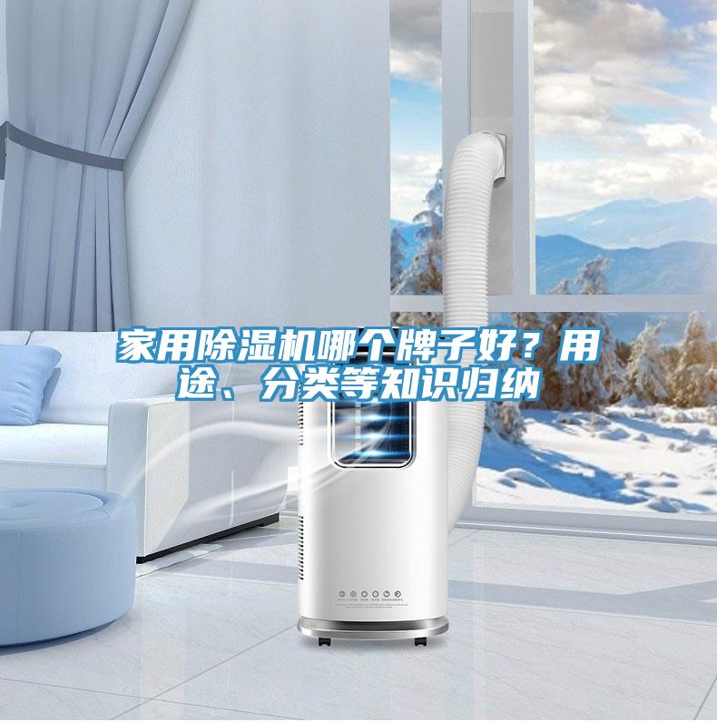 家用除濕機哪個(gè)牌子好？用途、分類(lèi)等知識歸納