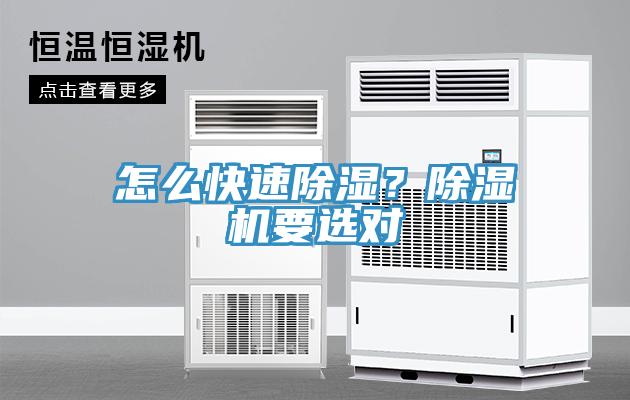 怎么快速除濕？除濕機要選對