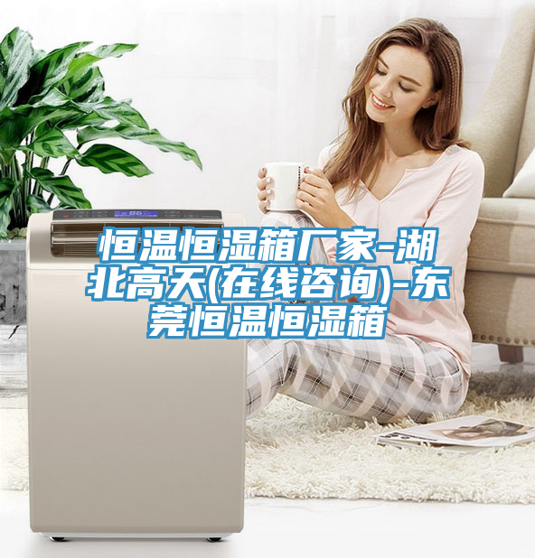 恒溫恒濕箱廠(chǎng)家-湖北高天(在線(xiàn)咨詢(xún))-東莞恒溫恒濕箱