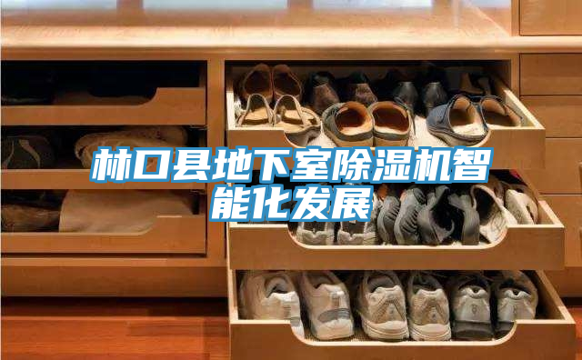 林口縣地下室除濕機智能化發(fā)展