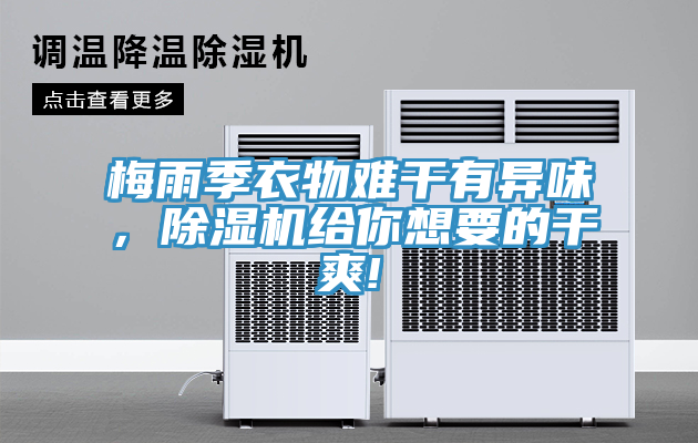 梅雨季衣物難干有異味，除濕機給你想要的干爽!