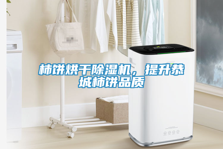 柿餅烘干除濕機，提升恭城柿餅品質(zhì)