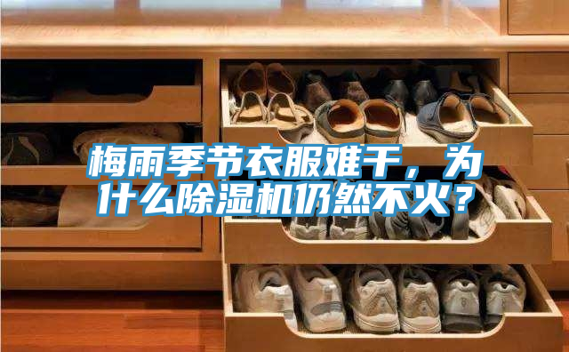 梅雨季節衣服難干，為什么除濕機仍然不火？