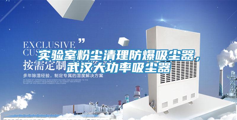 實(shí)驗室粉塵清理防爆吸塵器，武漢大功率吸塵器