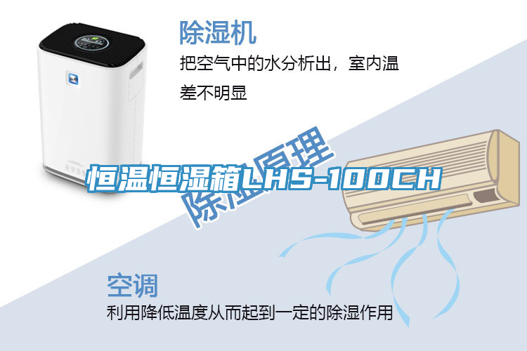 恒溫恒濕箱LHS-100CH