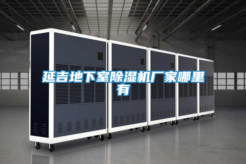 延吉地下室除濕機廠(chǎng)家哪里有