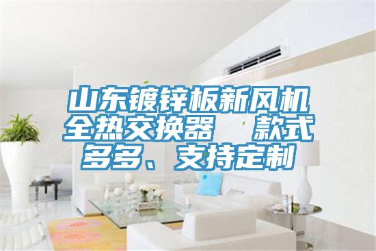 山東鍍鋅板新風(fēng)機全熱交換器  款式多多、支持定制