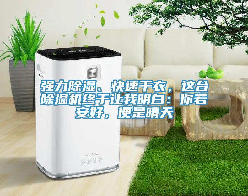 強力除濕、快速干衣，這臺除濕機終于讓我明白：你若安好，便是晴天