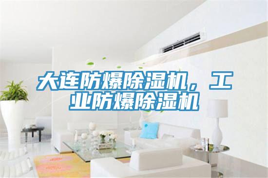 大連防爆除濕機，工業(yè)防爆除濕機
