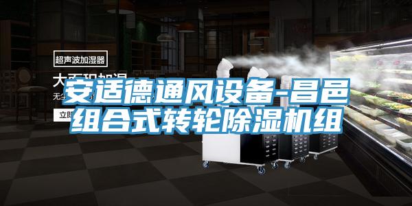 安適德通風(fēng)設備-昌邑組合式轉輪除濕機組