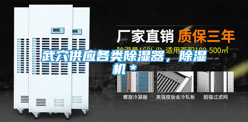 武穴供應各類(lèi)除濕器，除濕機＊