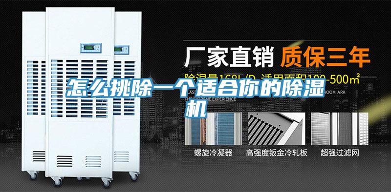怎么挑除一個(gè)適合你的除濕機
