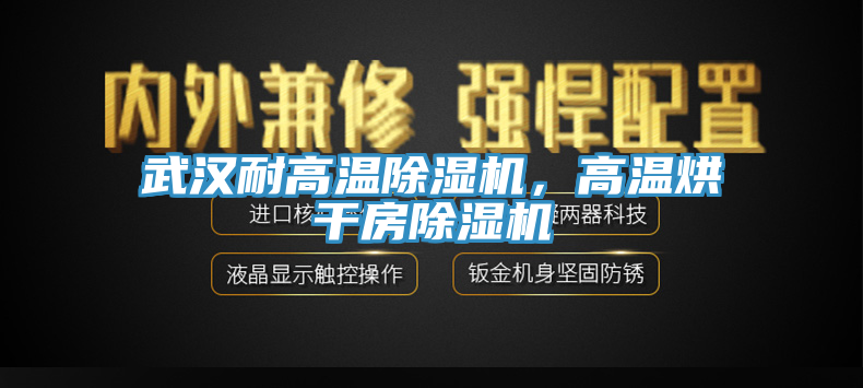 武漢耐高溫除濕機，高溫烘干房除濕機