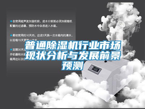 普通除濕機行業(yè)市場(chǎng)現狀分析與發(fā)展前景預測