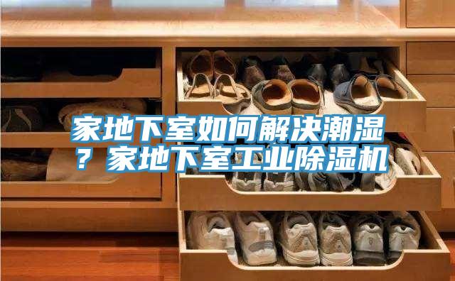 家地下室如何解決潮濕？家地下室工業(yè)除濕機