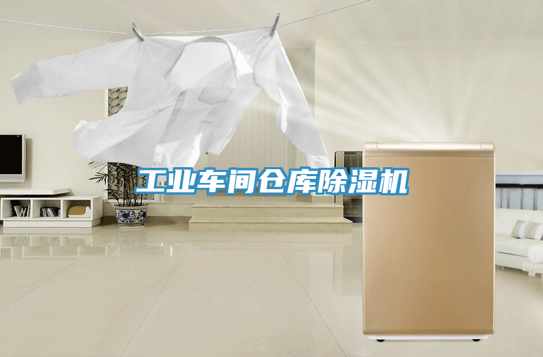 工業(yè)車(chē)間倉庫除濕機