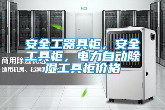 安全工器具柜，安全工具柜，電力自動(dòng)除濕工具柜價(jià)格