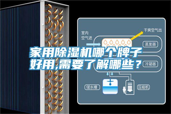 家用除濕機哪個(gè)牌子好用,需要了解哪些？
