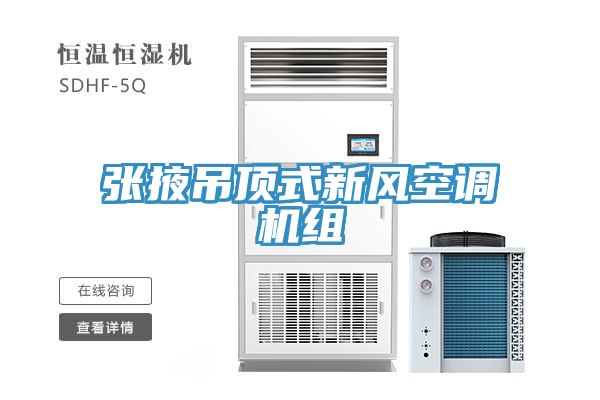 張掖吊頂式新風(fēng)空調機組