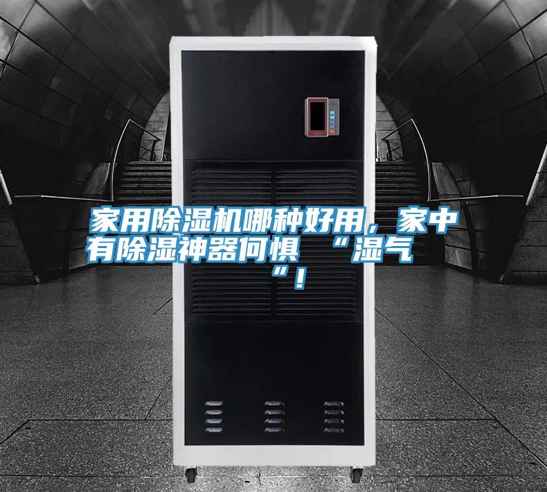 家用除濕機哪種好用，家中有除濕神器何懼 “濕氣 “！