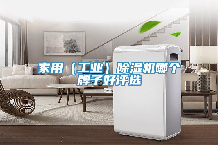 家用（工業(yè)）除濕機哪個(gè)牌子好評選