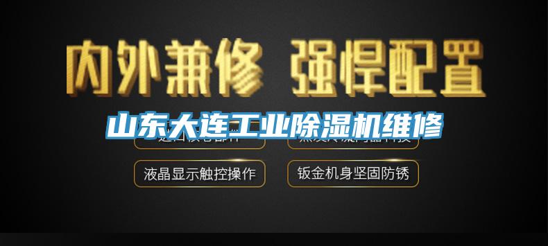 山東大連工業(yè)除濕機維修
