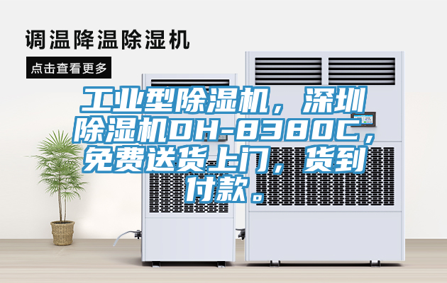 工業(yè)型除濕機，深圳除濕機DH-8380C，免費送貨上門(mén)，貨到付款。