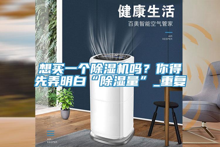想買(mǎi)一個(gè)除濕機嗎？你得先弄明白“除濕量”_重復