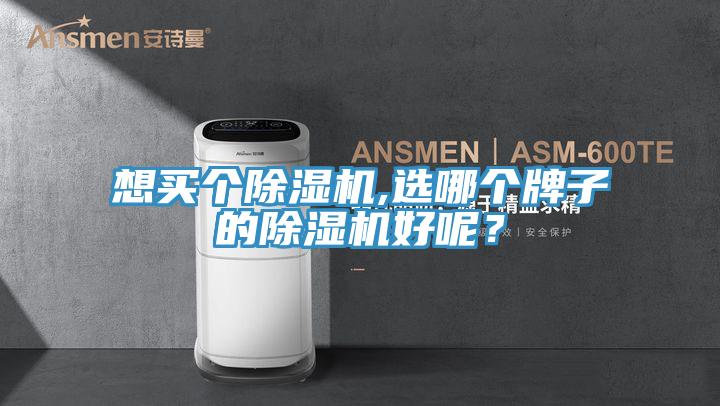 想買(mǎi)個(gè)除濕機,選哪個(gè)牌子的除濕機好呢？