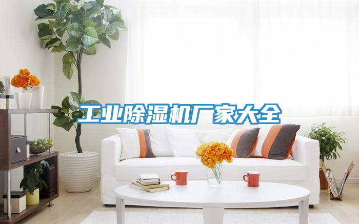工業(yè)除濕機廠(chǎng)家大全
