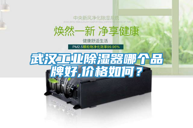 武漢工業(yè)除濕器哪個(gè)品牌好,價(jià)格如何？