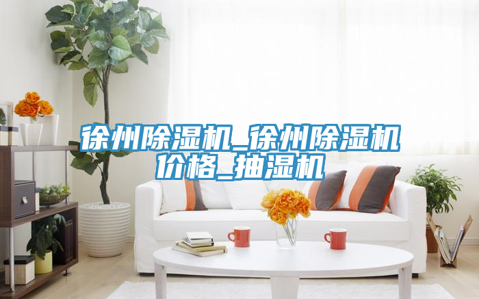 徐州除濕機_徐州除濕機價(jià)格_抽濕機