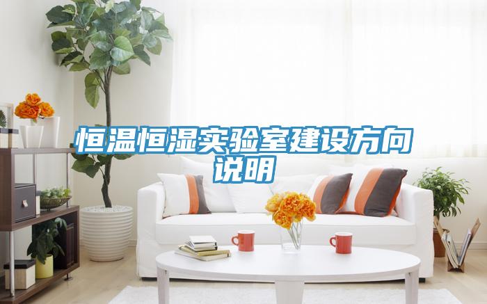 恒溫恒濕實(shí)驗室建設方向說(shuō)明