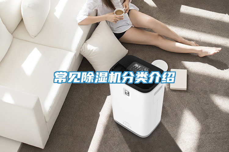 常見(jiàn)除濕機分類(lèi)介紹
