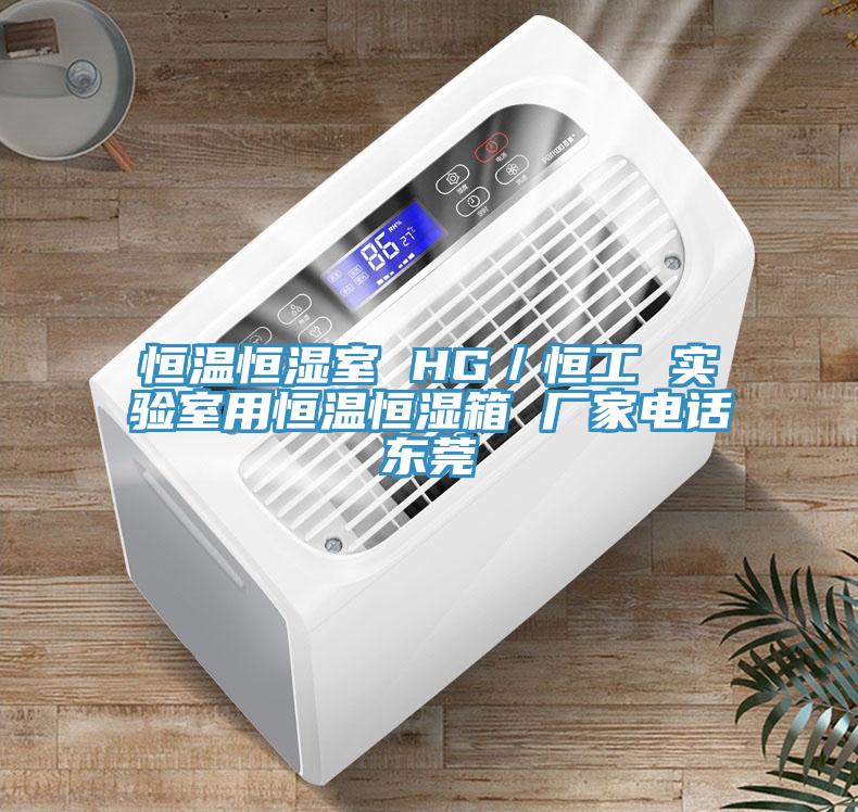 恒溫恒濕室 HG／恒工 實(shí)驗室用恒溫恒濕箱 廠(chǎng)家電話(huà)東莞