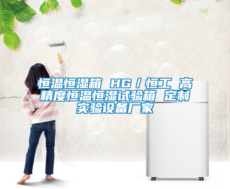 恒溫恒濕箱 HG／恒工 高精度恒溫恒濕試驗箱 定制實(shí)驗設備廠(chǎng)家