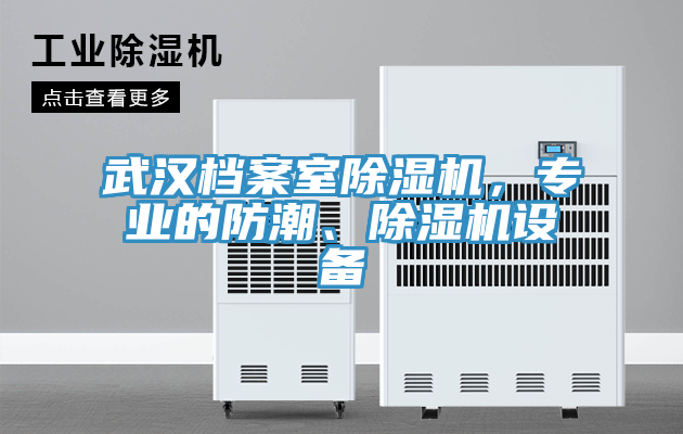 武漢檔案室除濕機，專(zhuān)業(yè)的防潮、除濕機設備