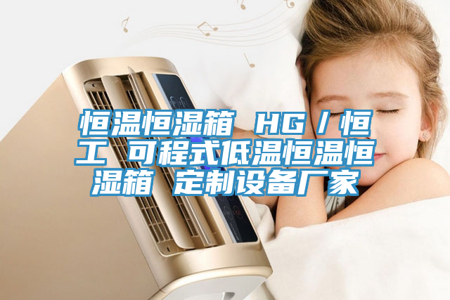 恒溫恒濕箱 HG／恒工 可程式低溫恒溫恒濕箱 定制設備廠(chǎng)家