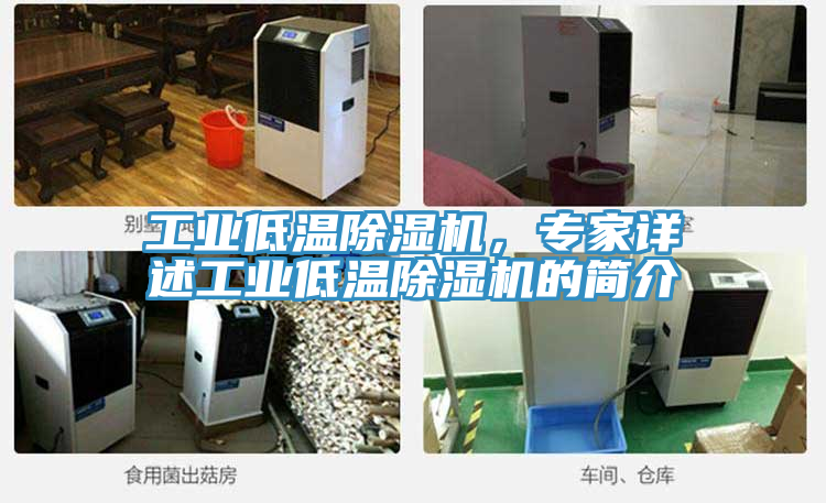 工業(yè)低溫除濕機，專(zhuān)家詳述工業(yè)低溫除濕機的簡(jiǎn)介